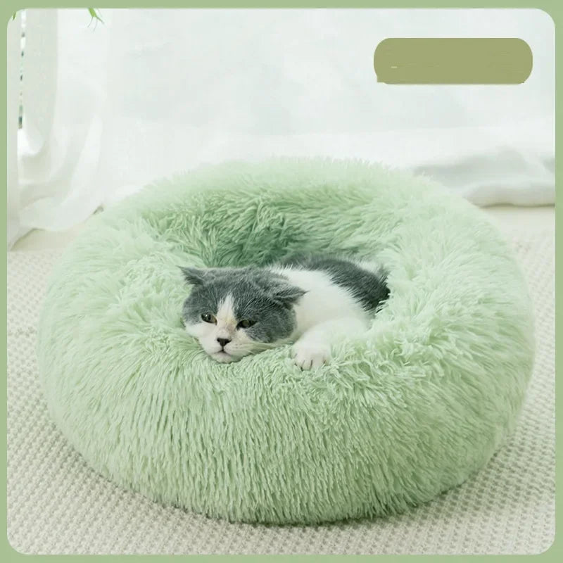 Donut Bed