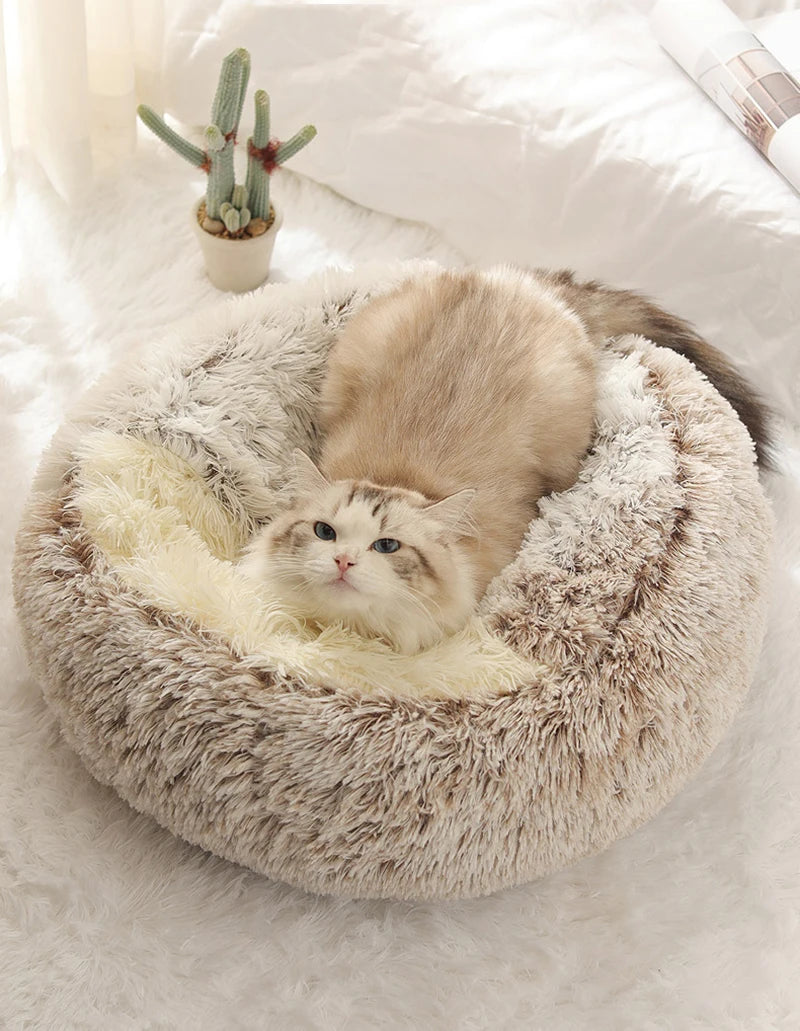 Soft Plush Bed