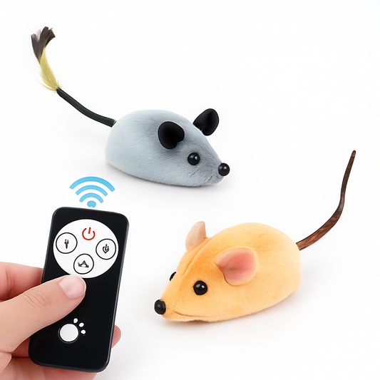 Interactive Mouse