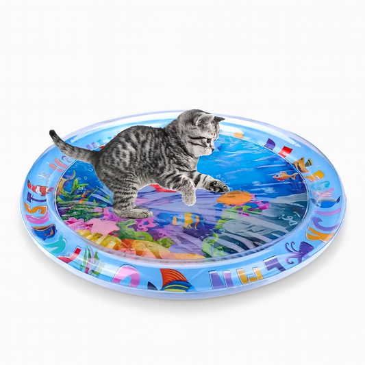Water Play Mat
