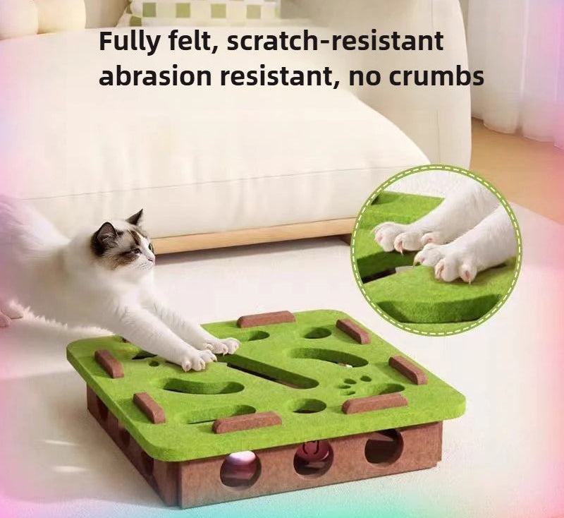 Interactive Maze Box