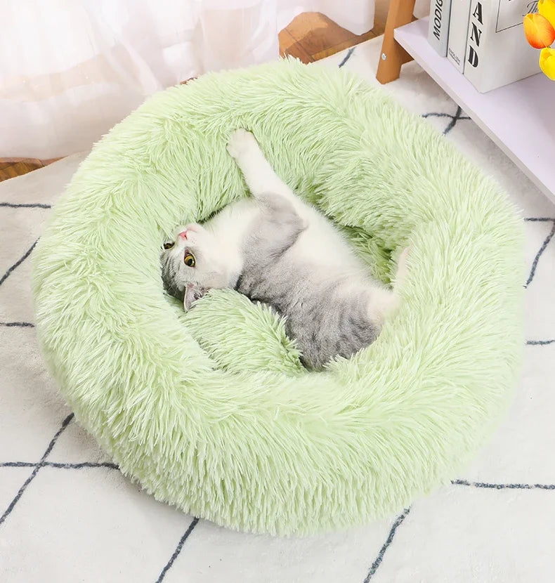 Donut Bed