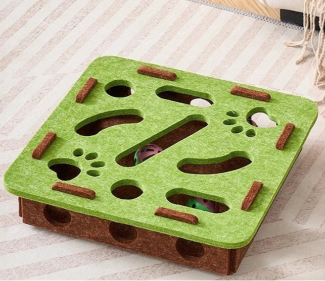 Interactive Maze Box