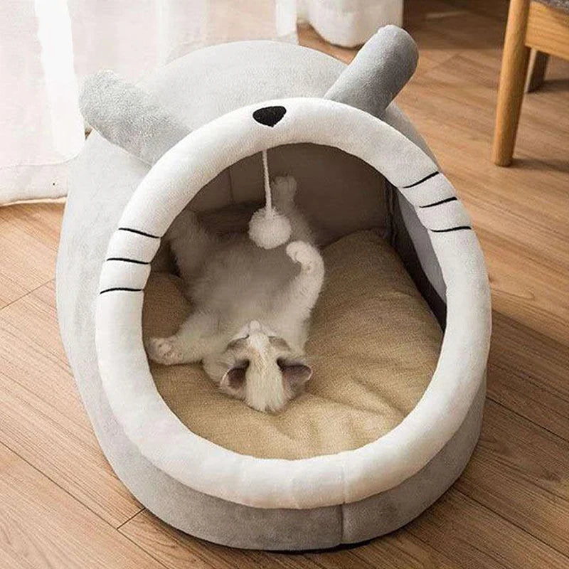 Cartoon Bed